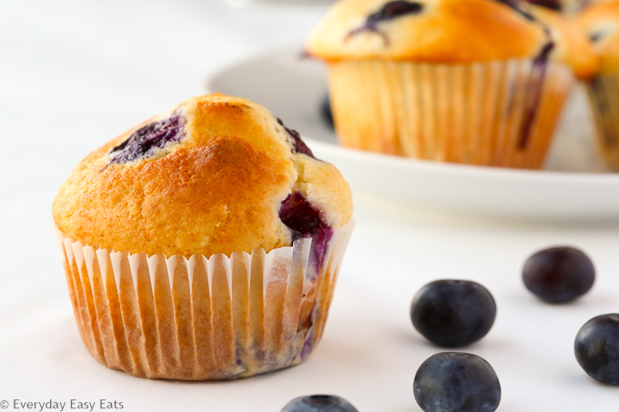 Side view of blueberry muffins on a white background.