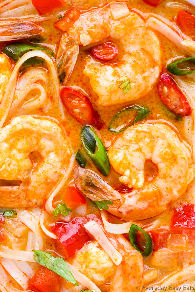 Close-up overhead view of Thai Shrimp Soup with Noodles.