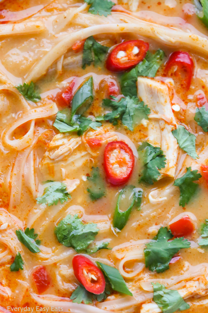 Very close-up overhead view of Thai Chicken Noodle Soup.