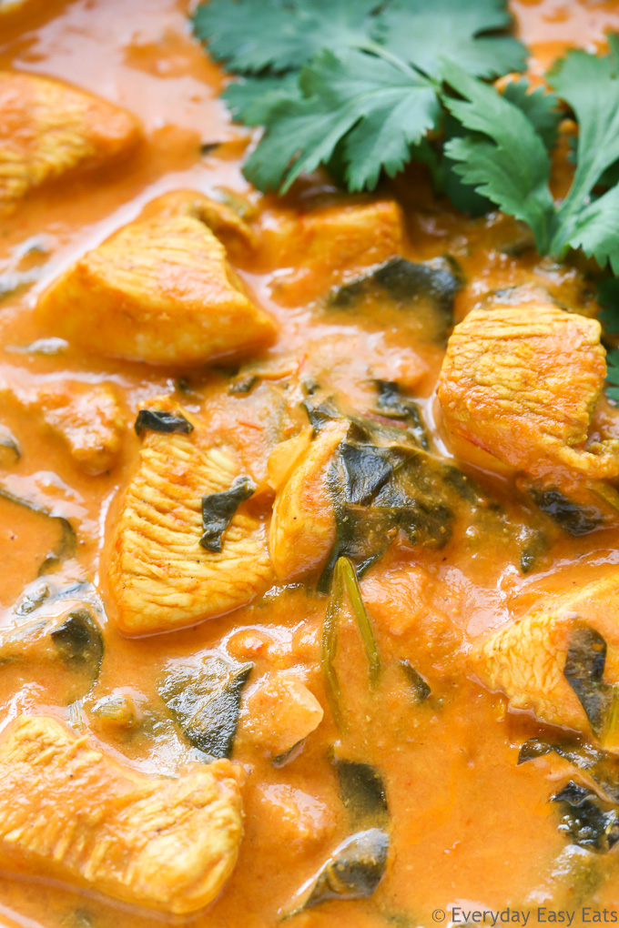 Close-up overhead view of Indian Coconut Chicken Curry to to show texture.